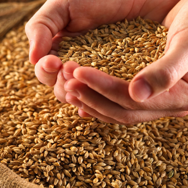 Feast of Laurence, Deacon & Martyr