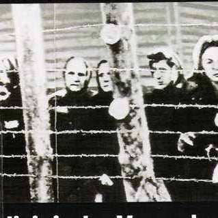 Why Evangelize the Jews?