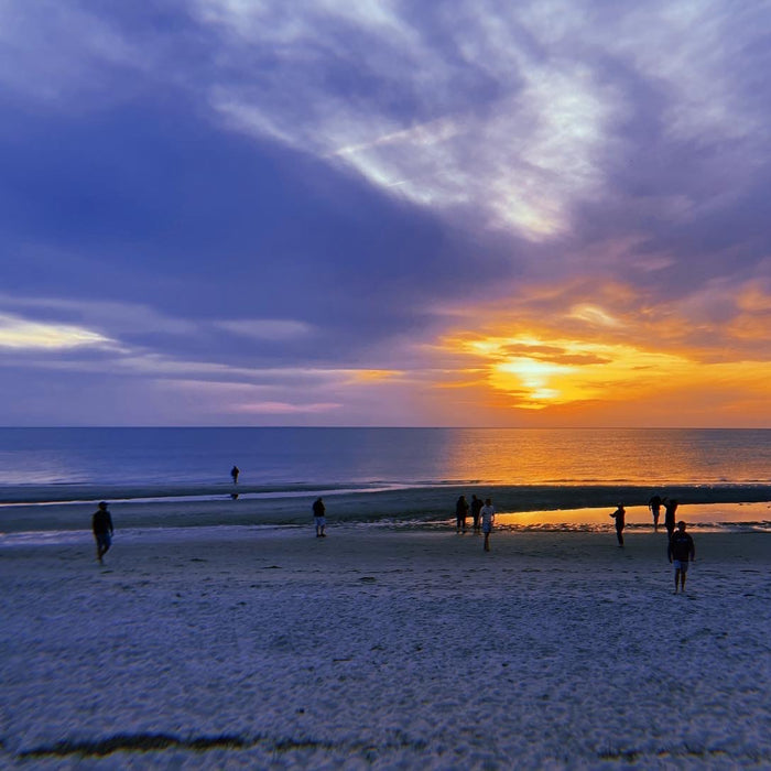 Thanksgiving Proclamation