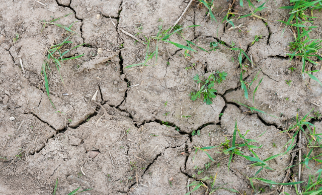 Like a parched land...