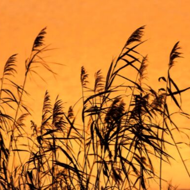 You will never give up on me