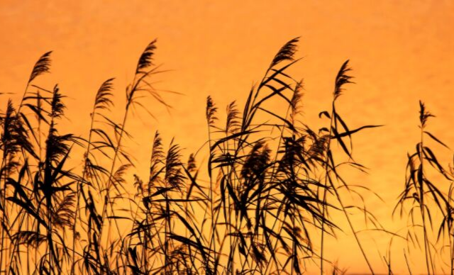 You will never give up on me