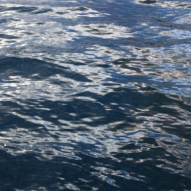 Overflows with praise at your word