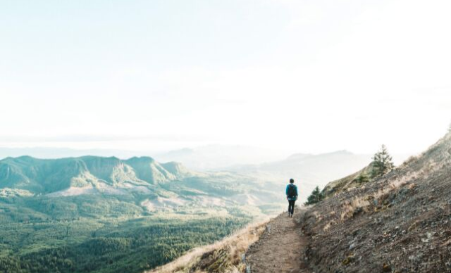 You show me the path of life.