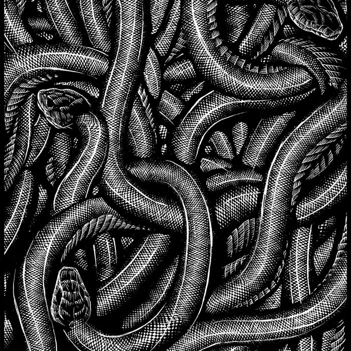 All Creation Waits | Day 15, Common Garter Snake