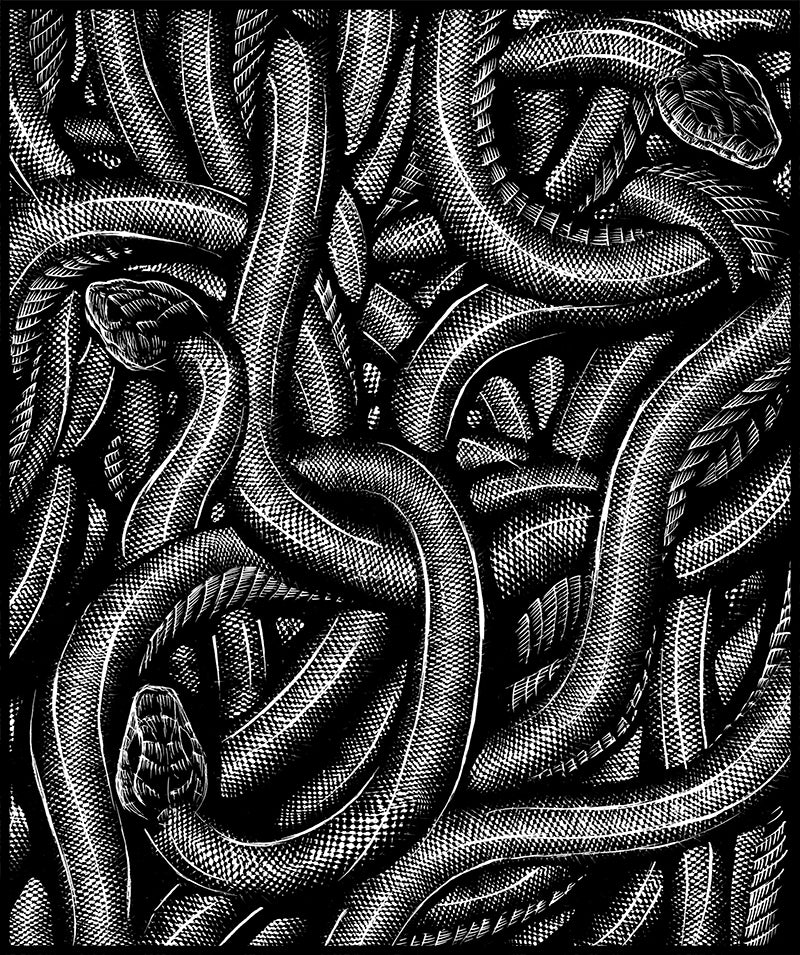 All Creation Waits | Day 15, Common Garter Snake