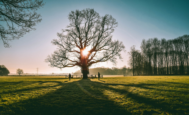 A sense of urgency to do your will
