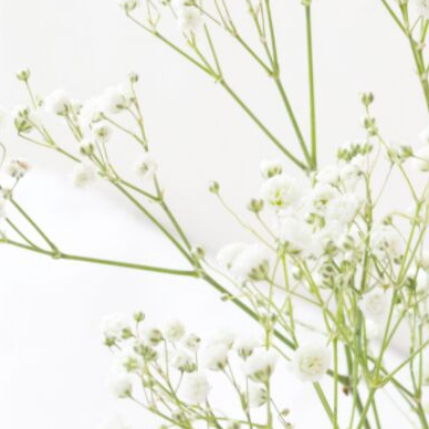 Your favor as with a shield