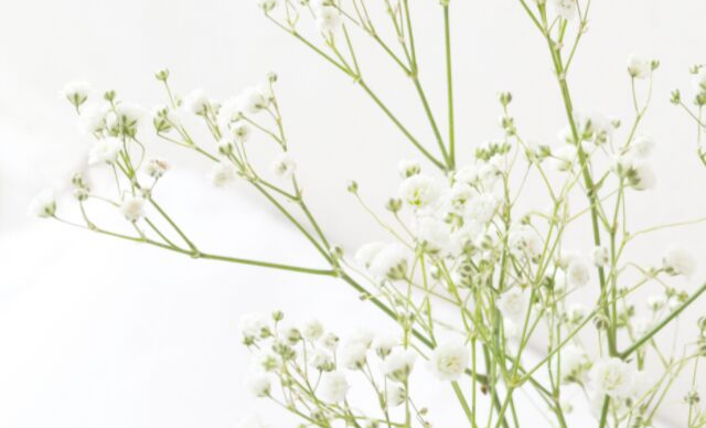 Your favor as with a shield