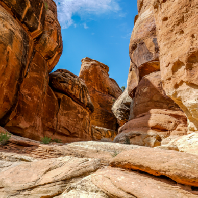 Transfiguration Sunday