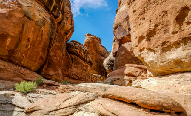 Transfiguration Sunday