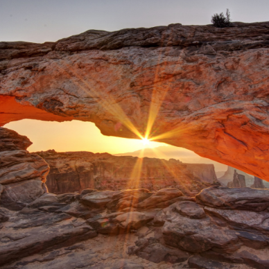 Give Thanks to the Lord