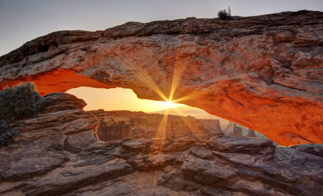 Give Thanks to the Lord