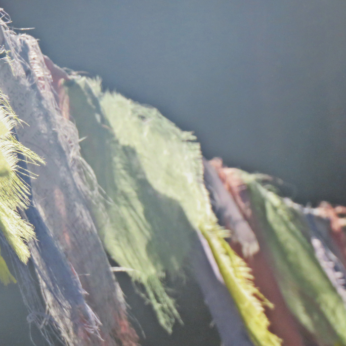 Prayer Flags and Other Good Habits