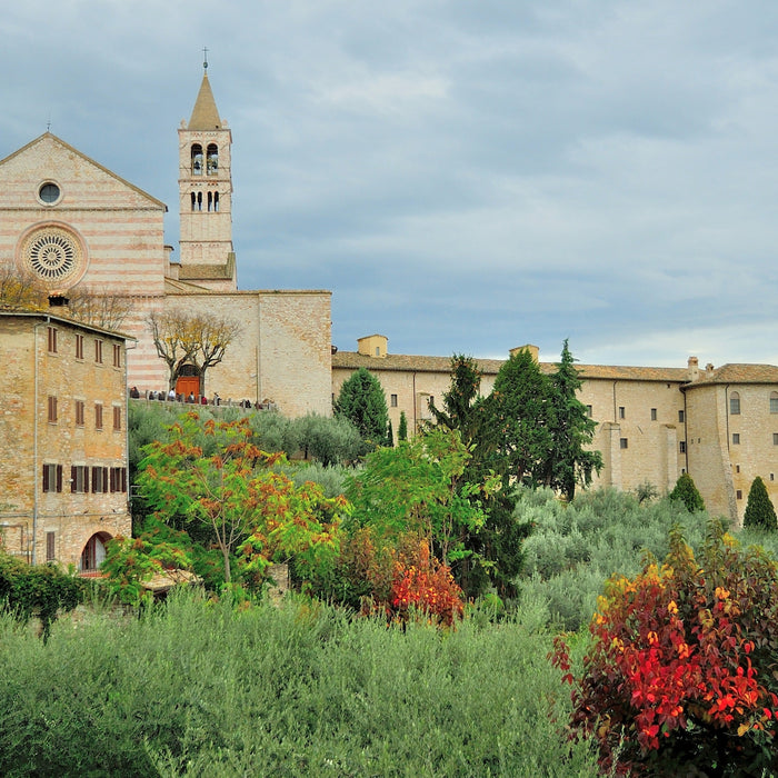 Francis of Assisi: The Hidden Story