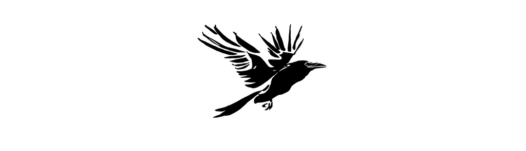 Announcing Raven: New Fiction Imprint from Paraclete that Recognizes D