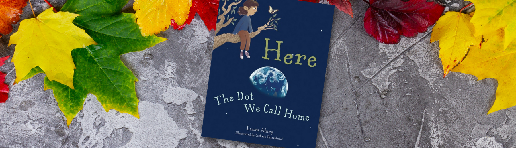 Start Here: The Power of the Particular