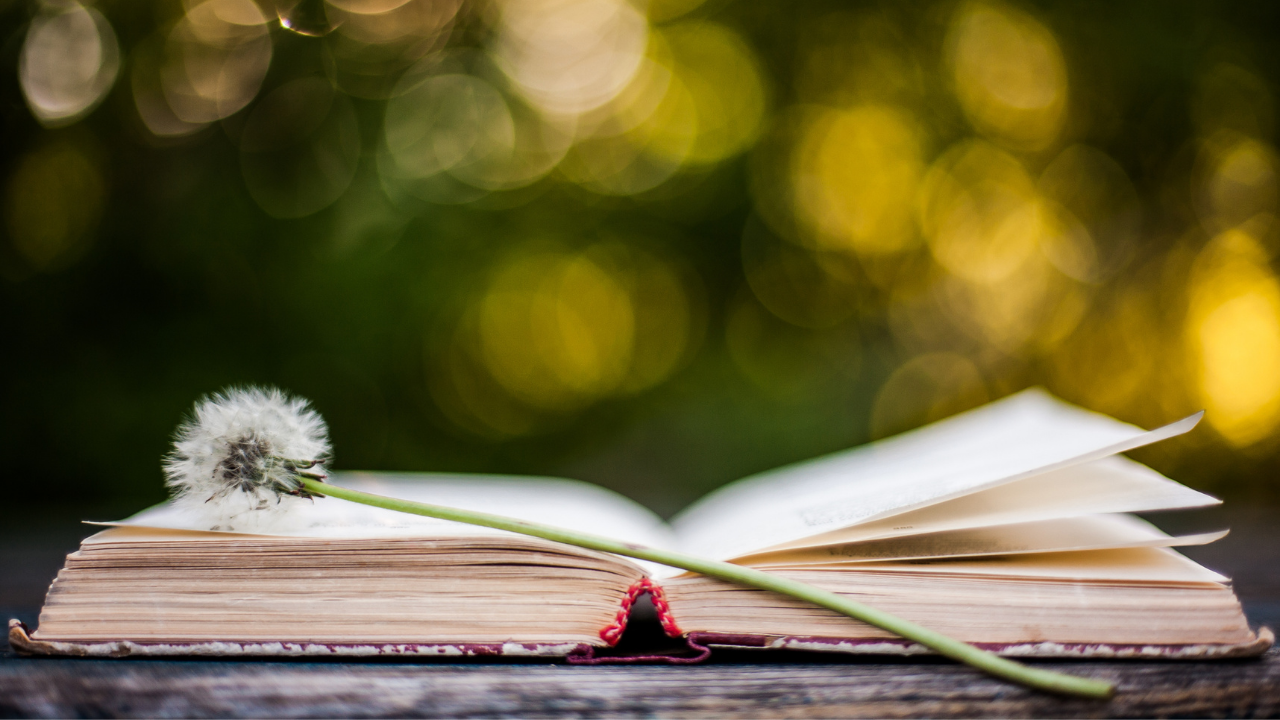 The Paraclete Poetry Corner - Summer 2021