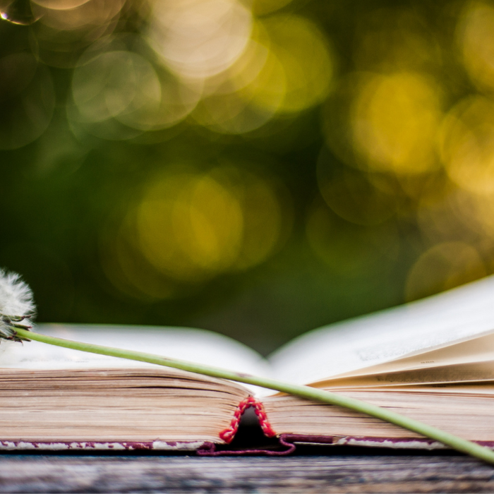 The Paraclete Poetry Corner - Summer 2021