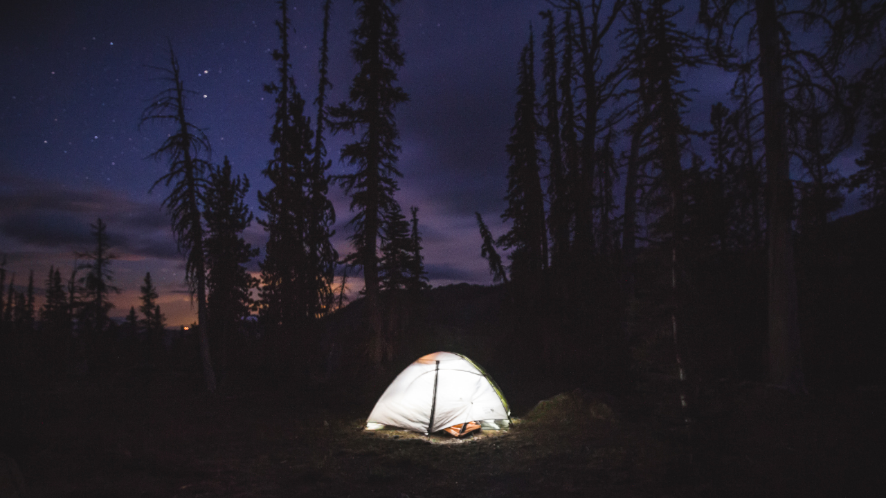 A Night Alone in the Woods