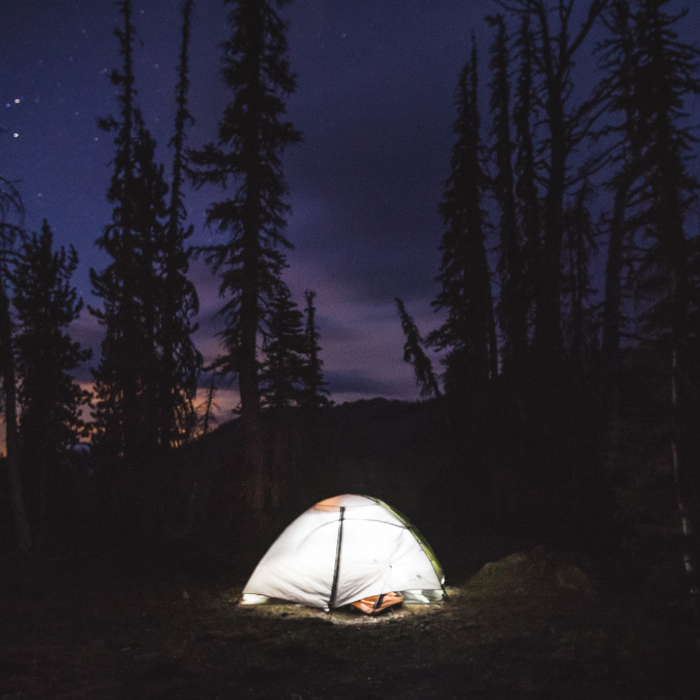 A Night Alone in the Woods