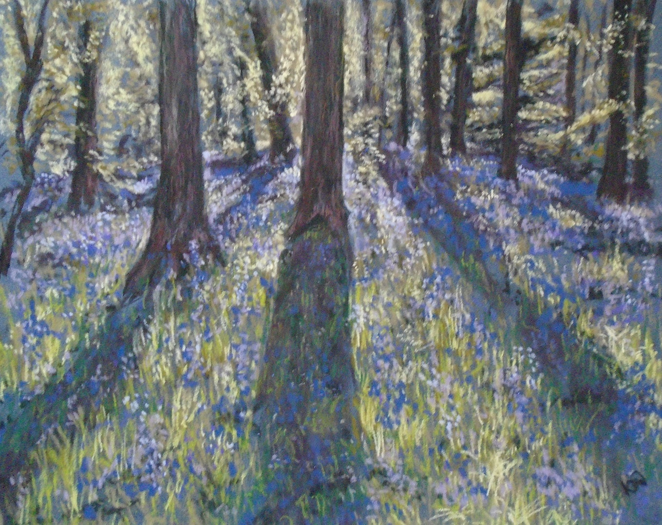 Next Year’s Bluebells | Keren Dibbens-Wyatt
