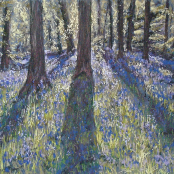 Next Year’s Bluebells | Keren Dibbens-Wyatt