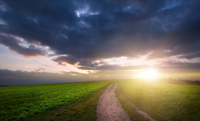 A Nightmare Laid Bare #ENDALZ