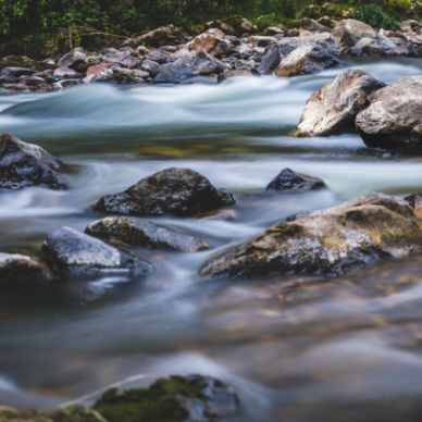 Feast of Bartholomew, Apostle