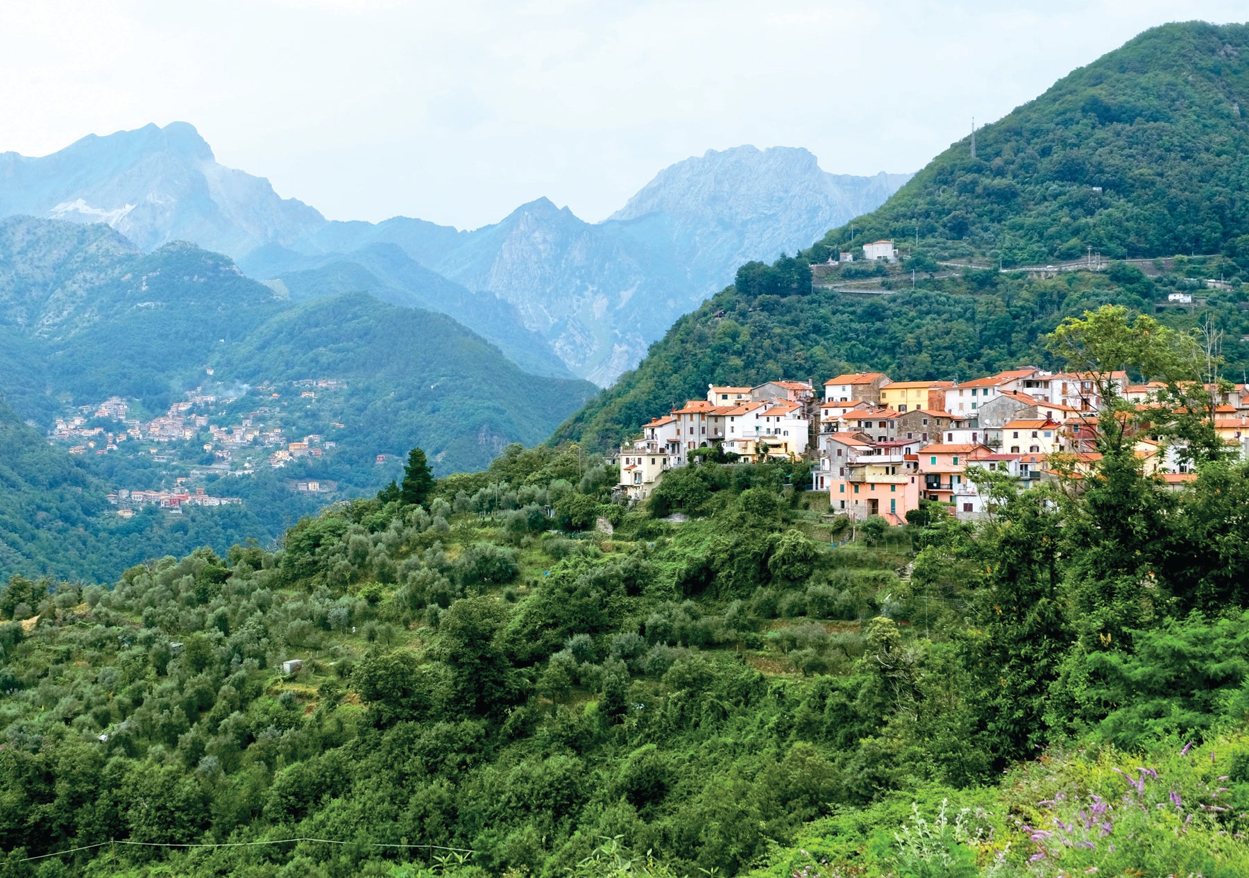 A little book of encouragement—images and meditations to begin your day