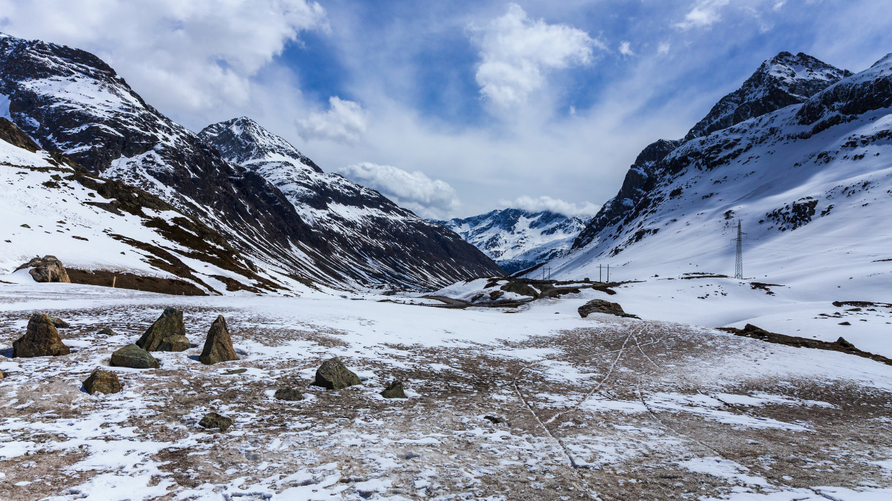 Q&A with Cheryl Anne Tuggle