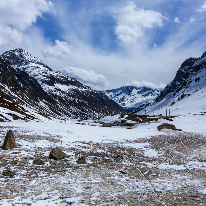 Q&A with Cheryl Anne Tuggle