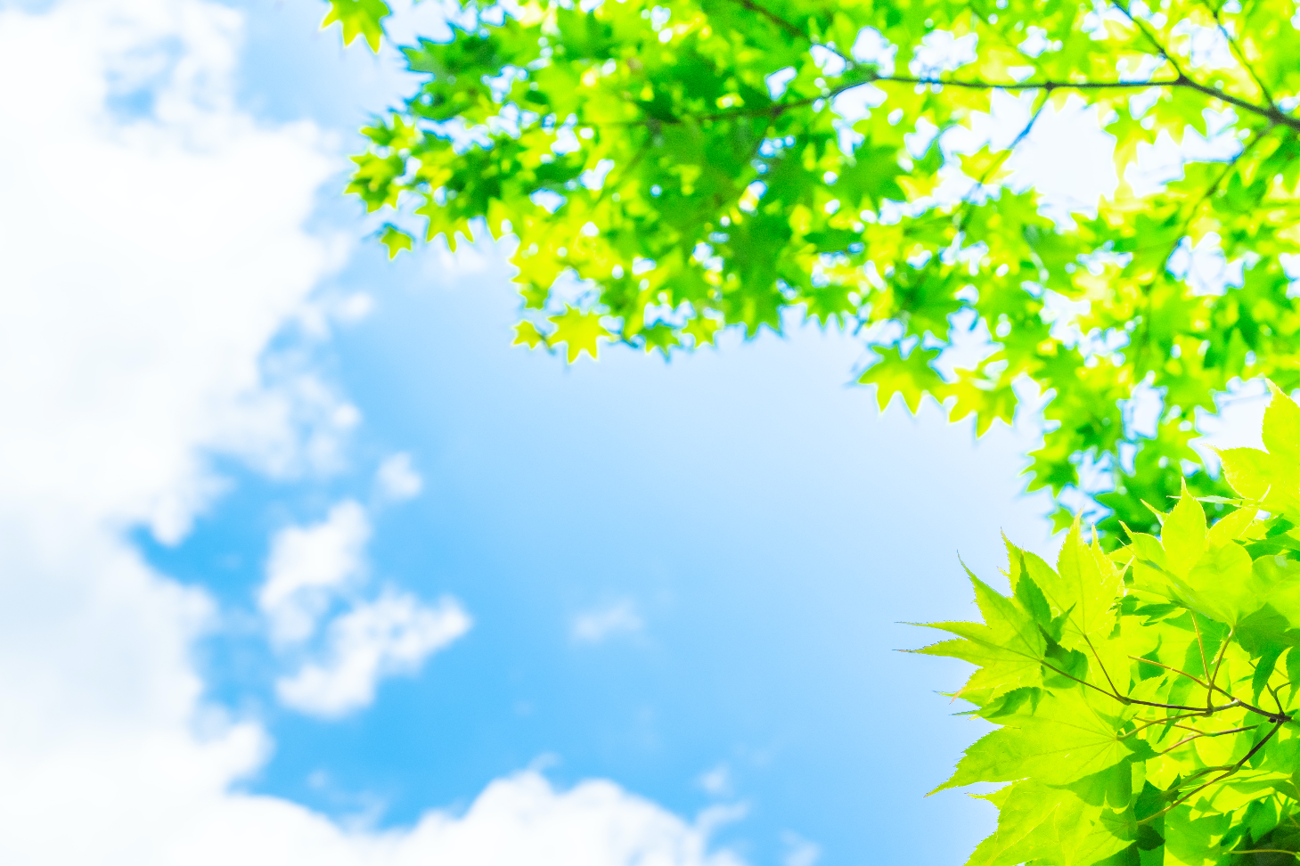 Shocked into Silence