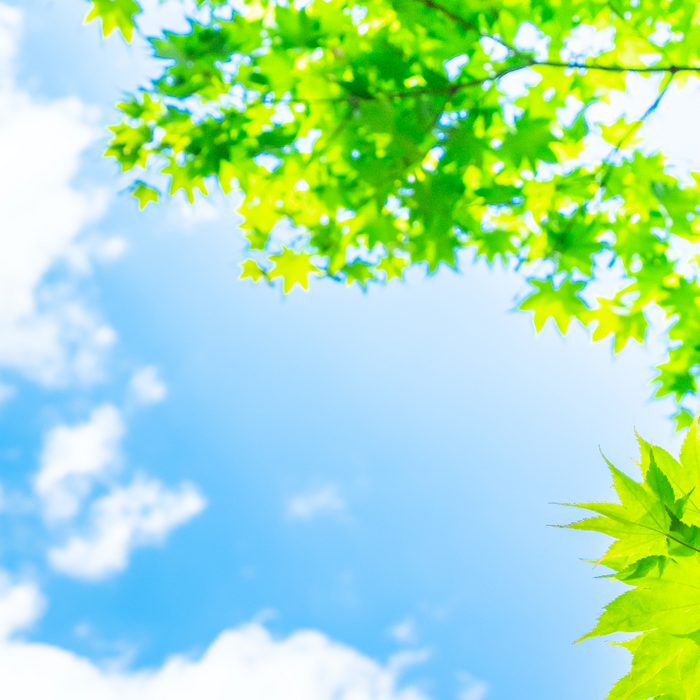 Shocked into Silence