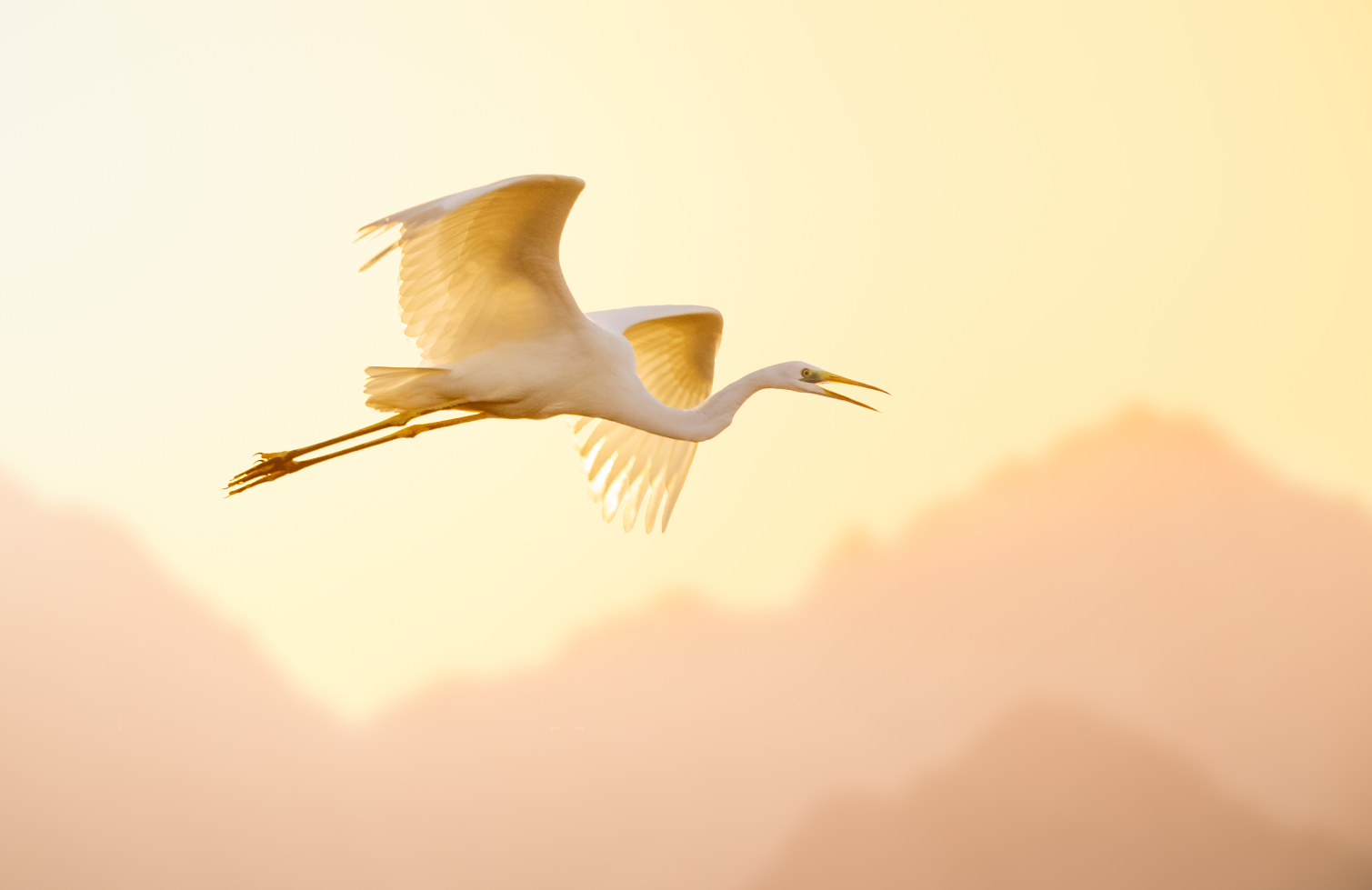 “Exquisite” New Poems from Luci Shaw: Angels Everywhere