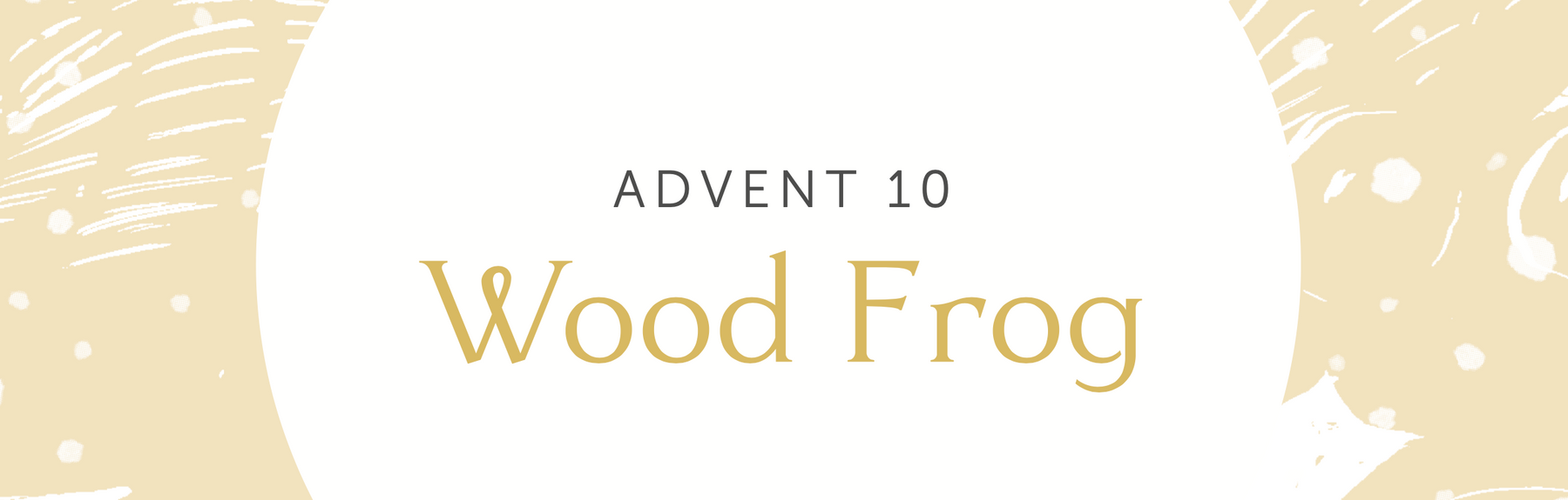 Advent 10 | Wood Frog