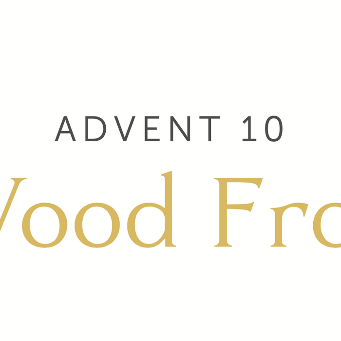Advent 10 | Wood Frog