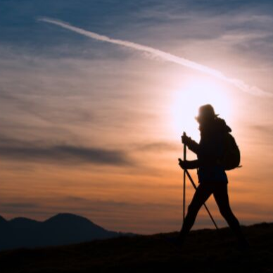 Hearts on a pilgrimage