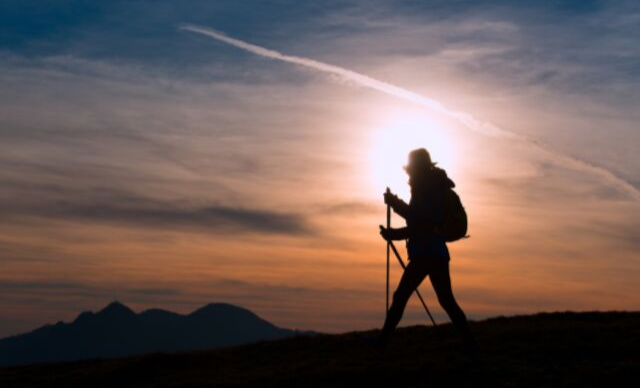 Hearts on a pilgrimage