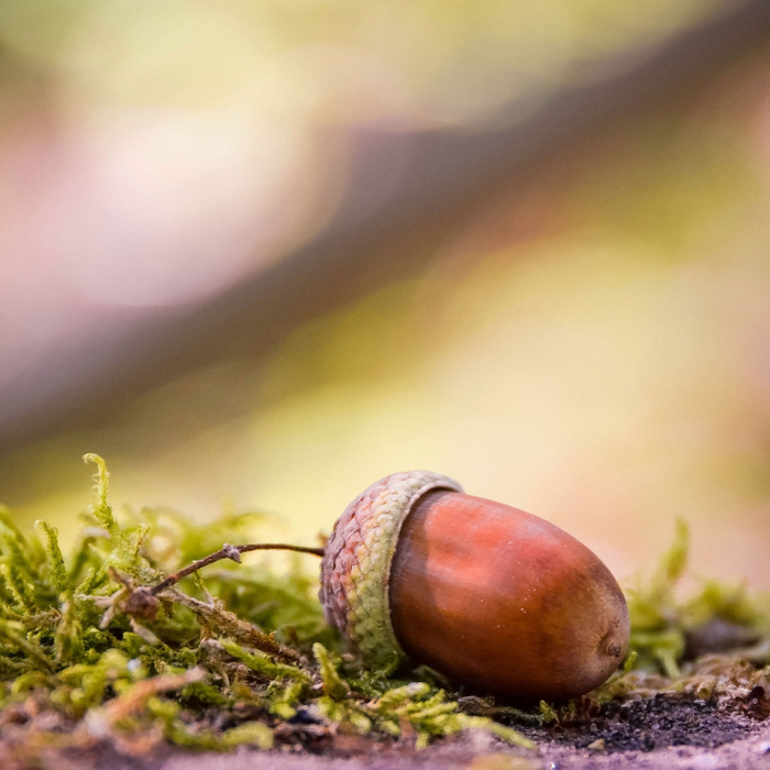 The College Drop-Off