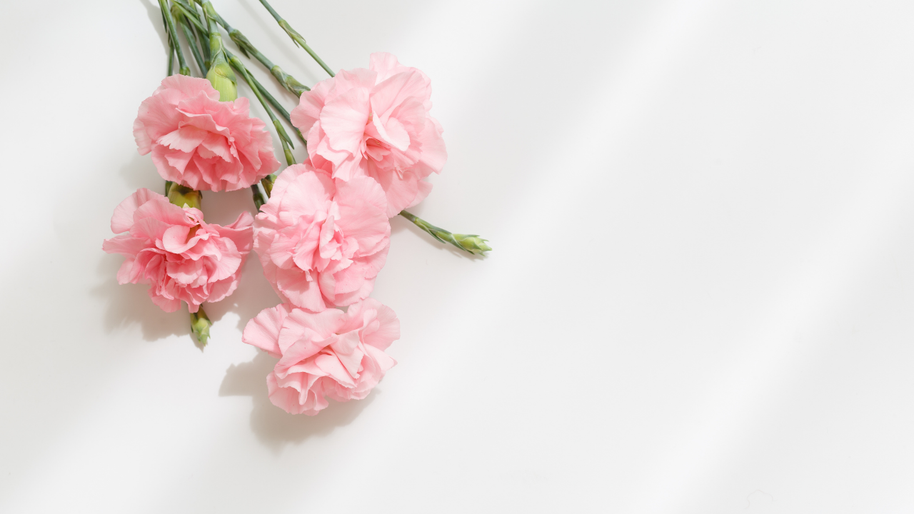 Clare’s Noble Mother