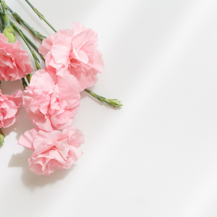 Clare’s Noble Mother