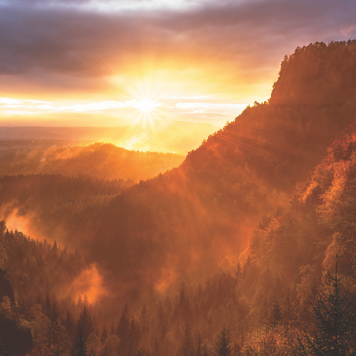 Sr. Sue Mosteller reviews Fr. Ron Rolheiser's forthcoming book, The Fire Within: Desire, Sexuality, Longing, and God