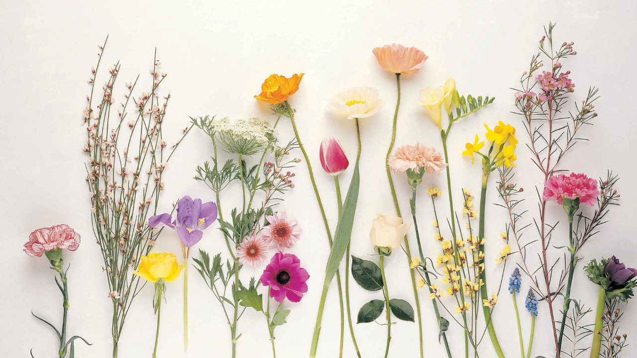 A Plan to Prosper: Choosing Love Instead of Fear