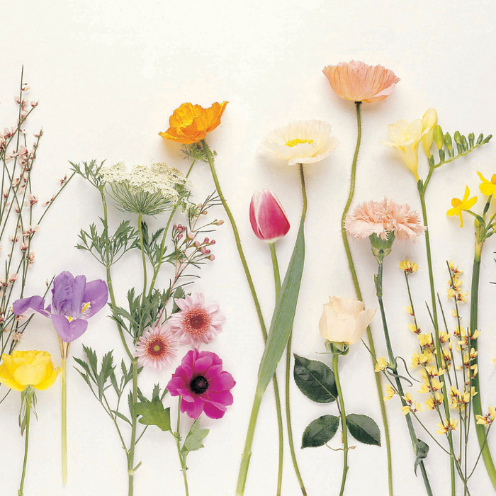 A Plan to Prosper: Choosing Love Instead of Fear