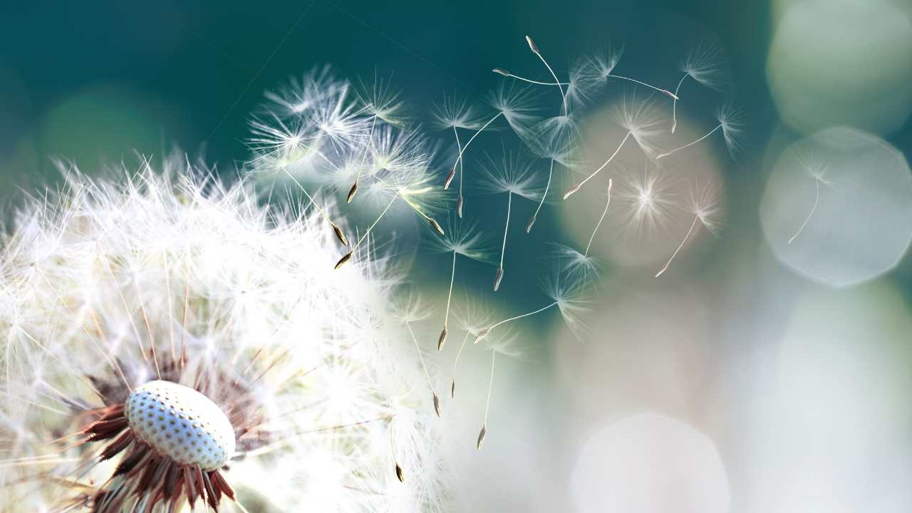 Where Miracles Occur