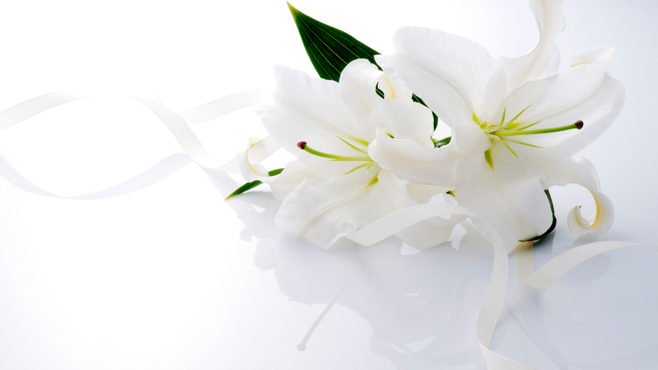 A Holy Reunion: Meeting the Virgin Mary