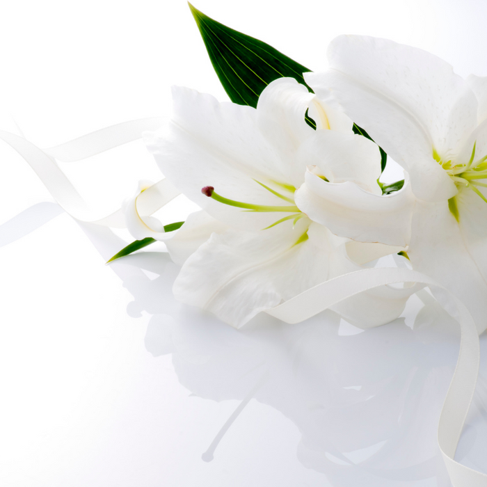 A Holy Reunion: Meeting the Virgin Mary