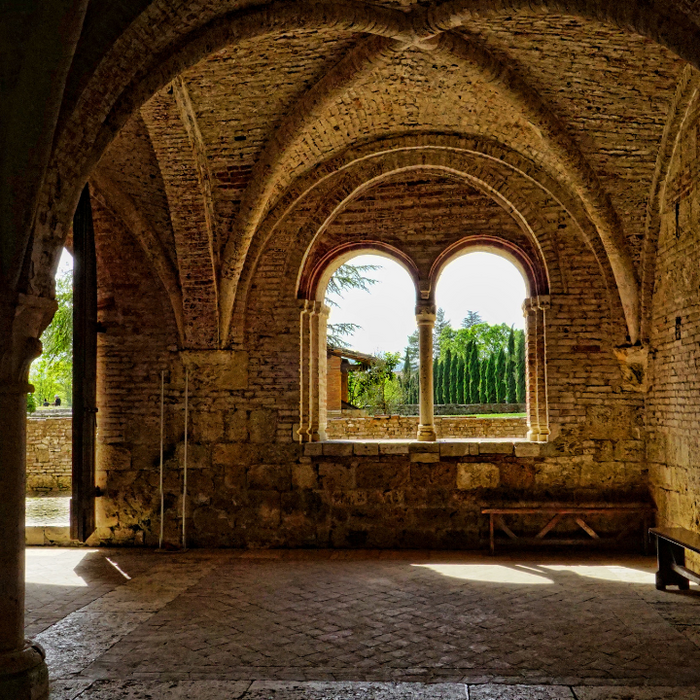 Our Monastery is Here and Now