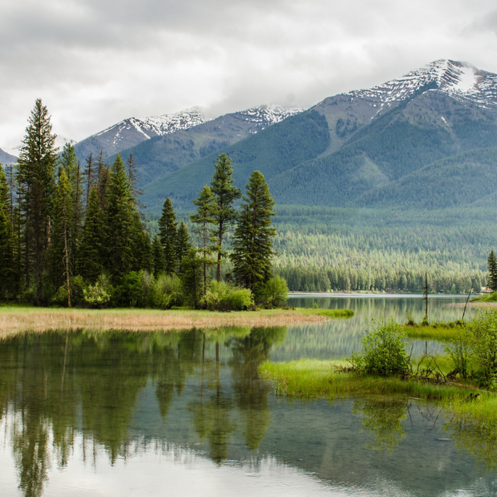 Hear, Smell, and Touch